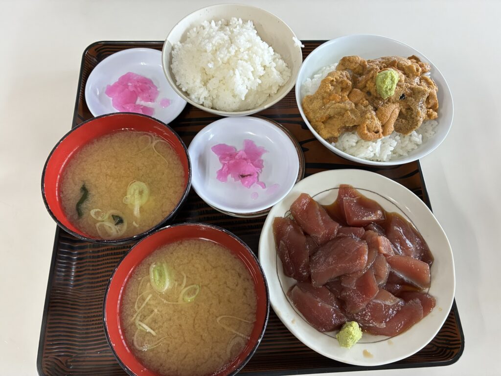 鶴亀屋食堂で食べたウニ丼とマグロの漬け丼