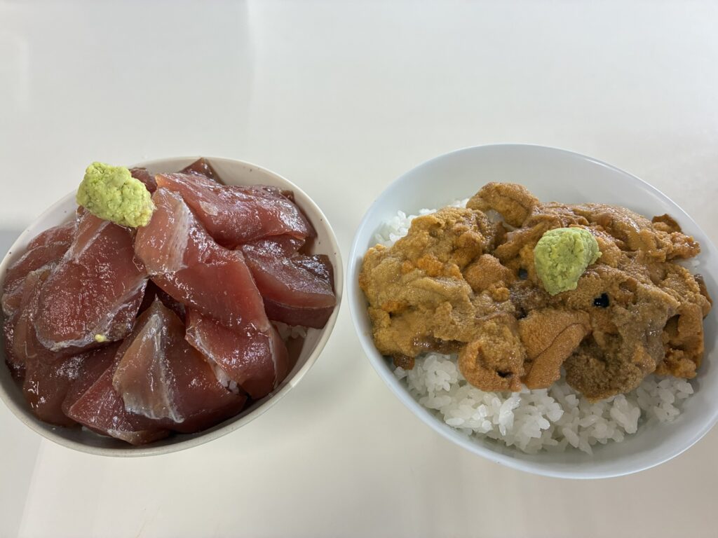 鶴亀屋食堂で食べたウニ丼とマグロの漬け丼