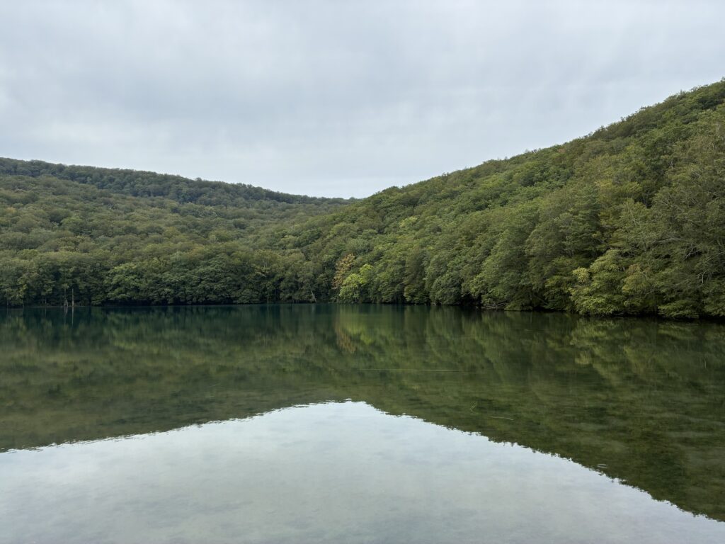 夏の蔦沼と湖面に映る緑の山々